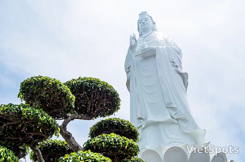 🇻🇳 5 распространённых заблуждений корейцев о вьетнамцах
