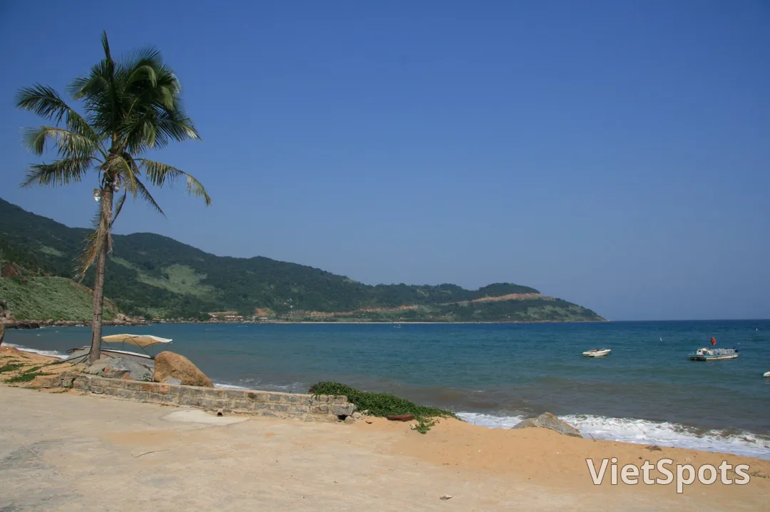 Mũi Bắc bán đảo Sơn Trà dưới trời xanh: cây dừa nghiêng trên bờ đá, nước biển xanh thẫm, sườn núi chạy dài ra mũi