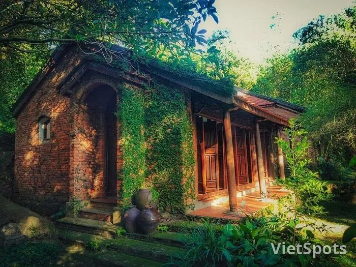 Bảo tàng Đồng Đình Đà Nẵng – Khám phá khu vườn ký ức ẩn mình giữa rừng Sơn Trà