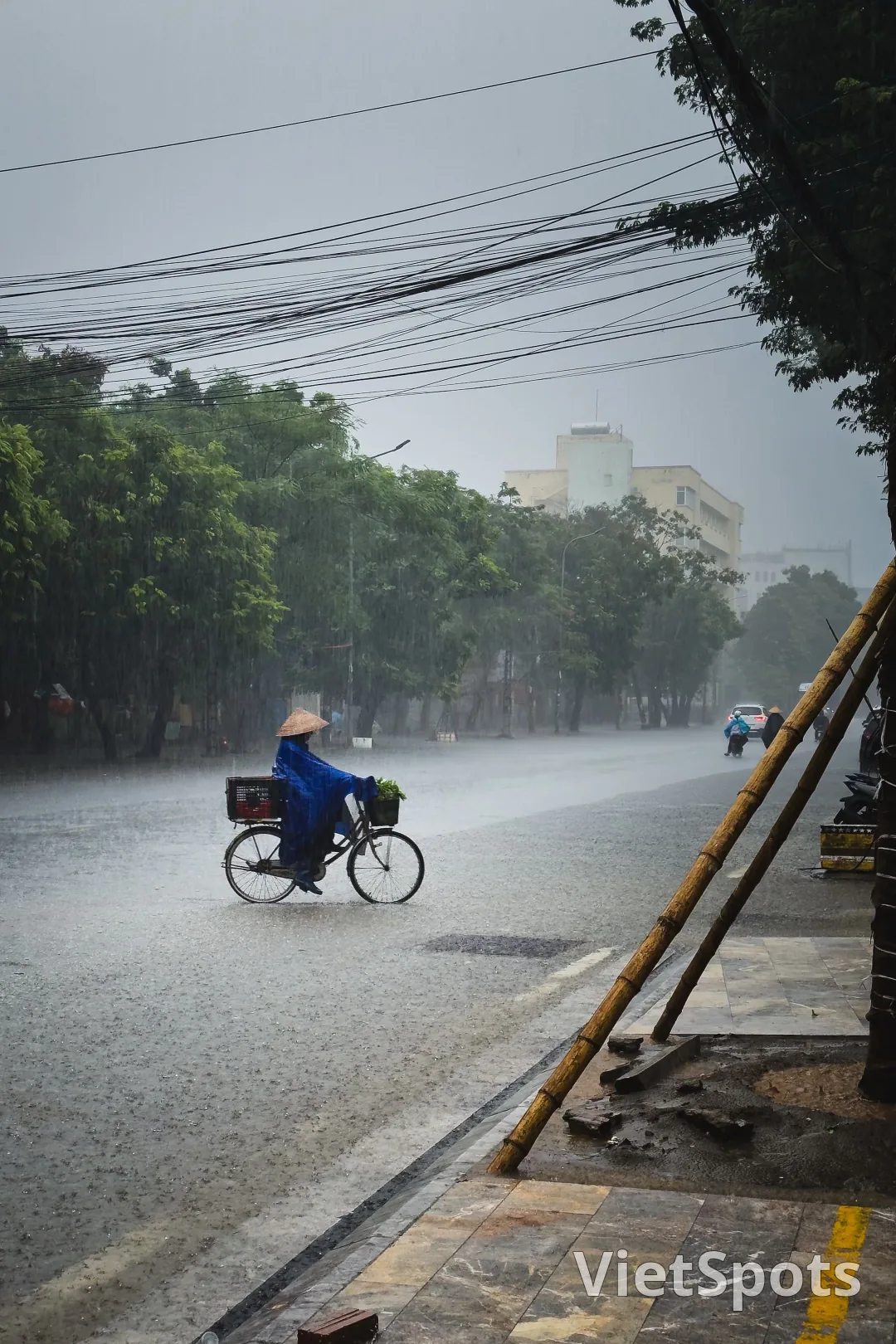 다낭 우기는 몇 월? 여행하기 좋은 시기와 비 오는 날 즐길 거리 ☀️☔