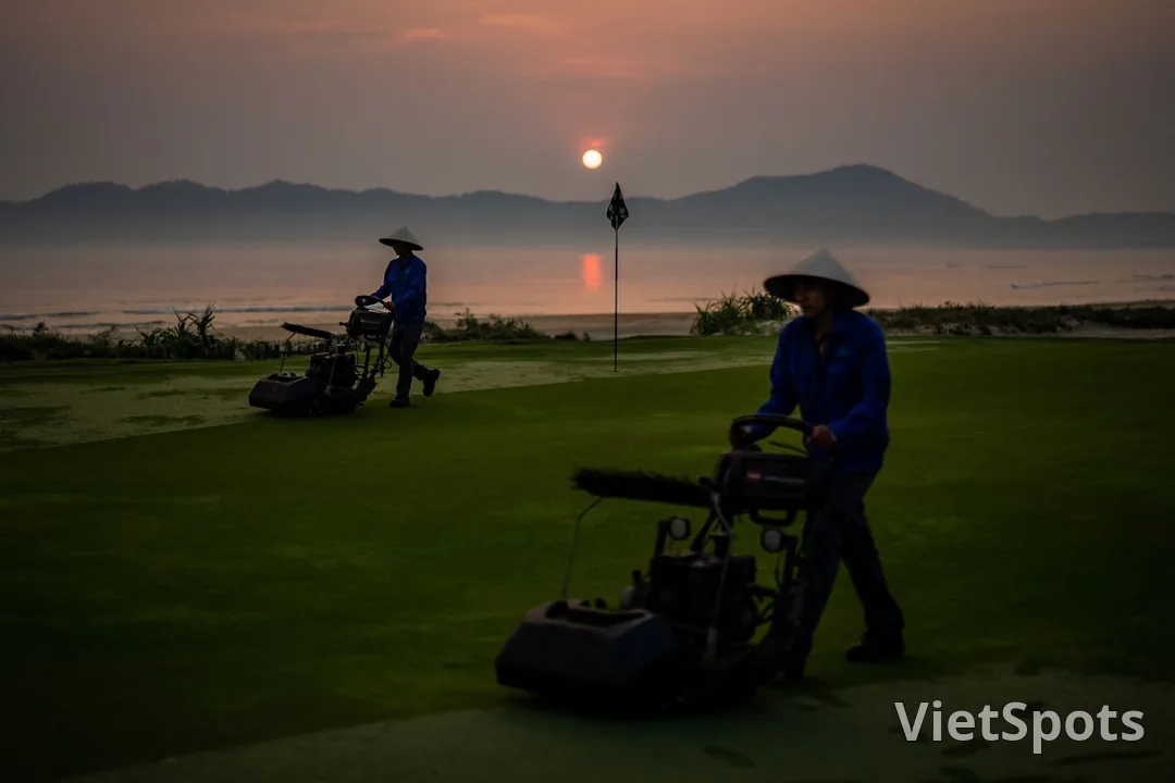 Nhân viên chăm sân đẩy máy cắt cỏ trên green lúc mặt trời mọc, phía sau là cờ golf và vịnh biển