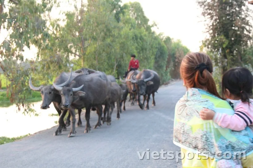 Phát sóng từ Thành phố Hồ Chí Minh. Bí quyết để hai vợ chồng tận hưởng cuộc sống ở Việt Nam và những dự định sắp tới