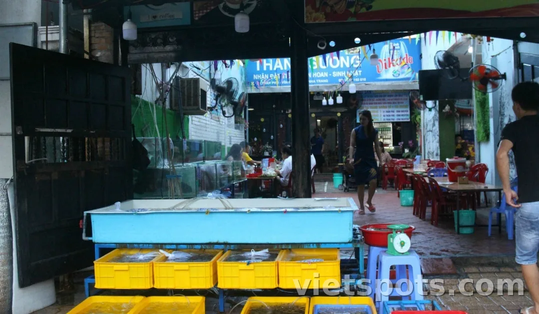 [Ký sự du lịch Nha Trang] Ngày 1: Chuyến đi resort ăn nhím biển thỏa thích | Việt Nam