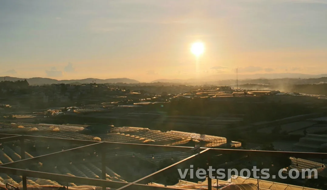 [Дневник путешествия в Далат 2026] День 2: сбор клубники и вечернее барбекю