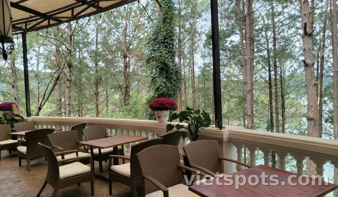 [Ký sự du lịch Đà Lạt 2026] Ngày cuối: Tận hưởng khách sạn resort và tham quan thành phố