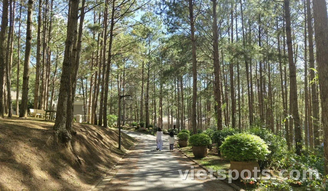 [Ký sự du lịch Đà Lạt 2026] Ngày cuối: Tận hưởng khách sạn resort và tham quan thành phố