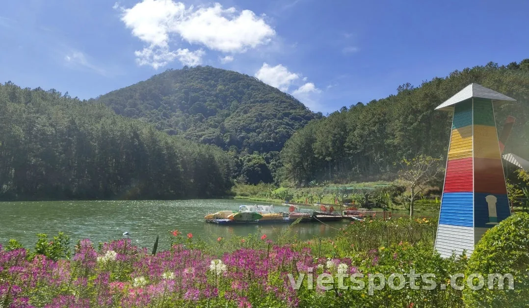 [Ký sự du lịch Đà Lạt 2026] Ngày cuối: Tận hưởng khách sạn resort và tham quan thành phố