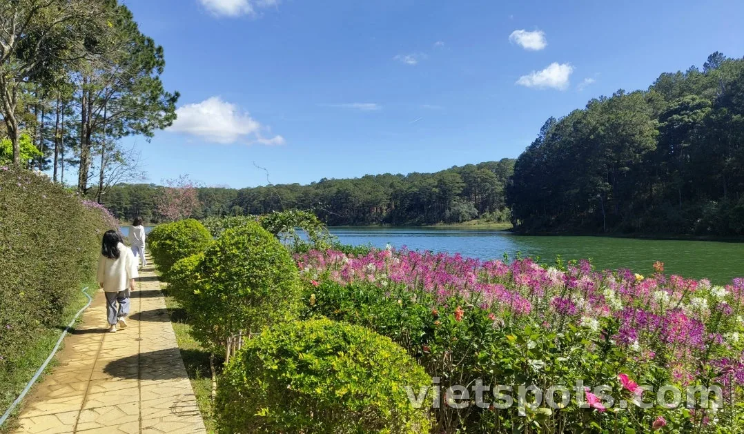 [Ký sự du lịch Đà Lạt 2026] Ngày cuối: Tận hưởng khách sạn resort và tham quan thành phố