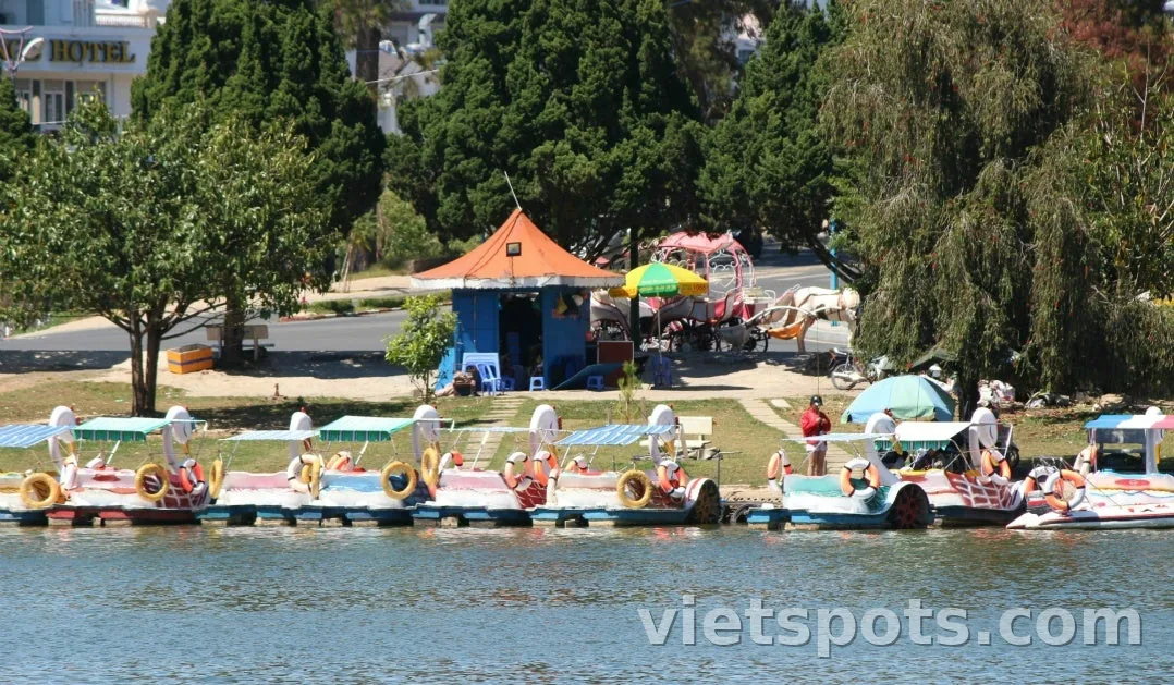 [Ký sự du lịch Đà Lạt 2026] Ngày cuối: Tận hưởng khách sạn resort và tham quan thành phố
