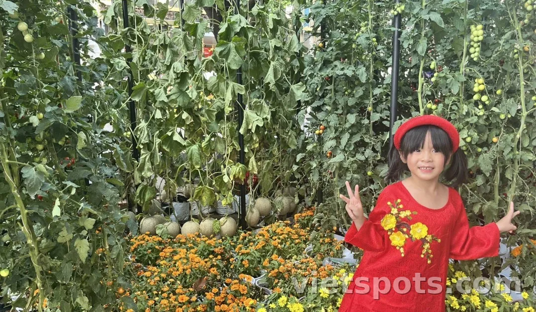 Trình độ tiếng Nhật của một đứa trẻ (7 tuổi) lớn lên ở Việt Nam là như thế nào?