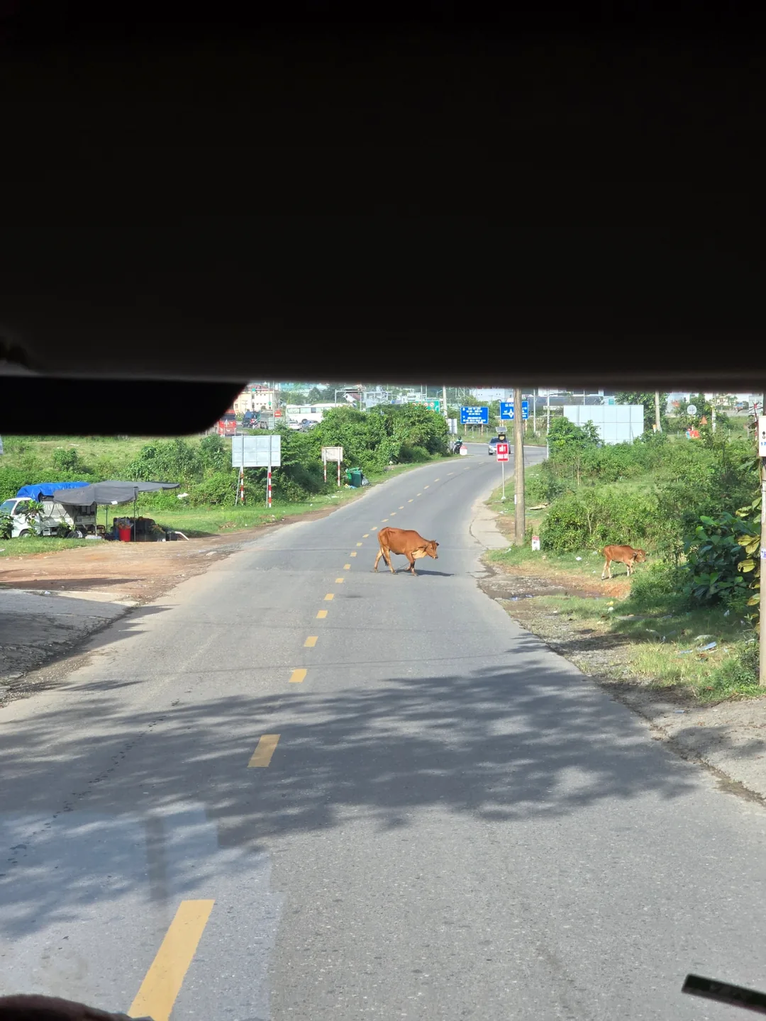 🐧🐧>>🇻🇳 Bài review chuyến đi phần 4 (Bài review du lịch cùng bố mẹ tuổi ngoài 80) 49 Kết thúc Bà Nà Hills!