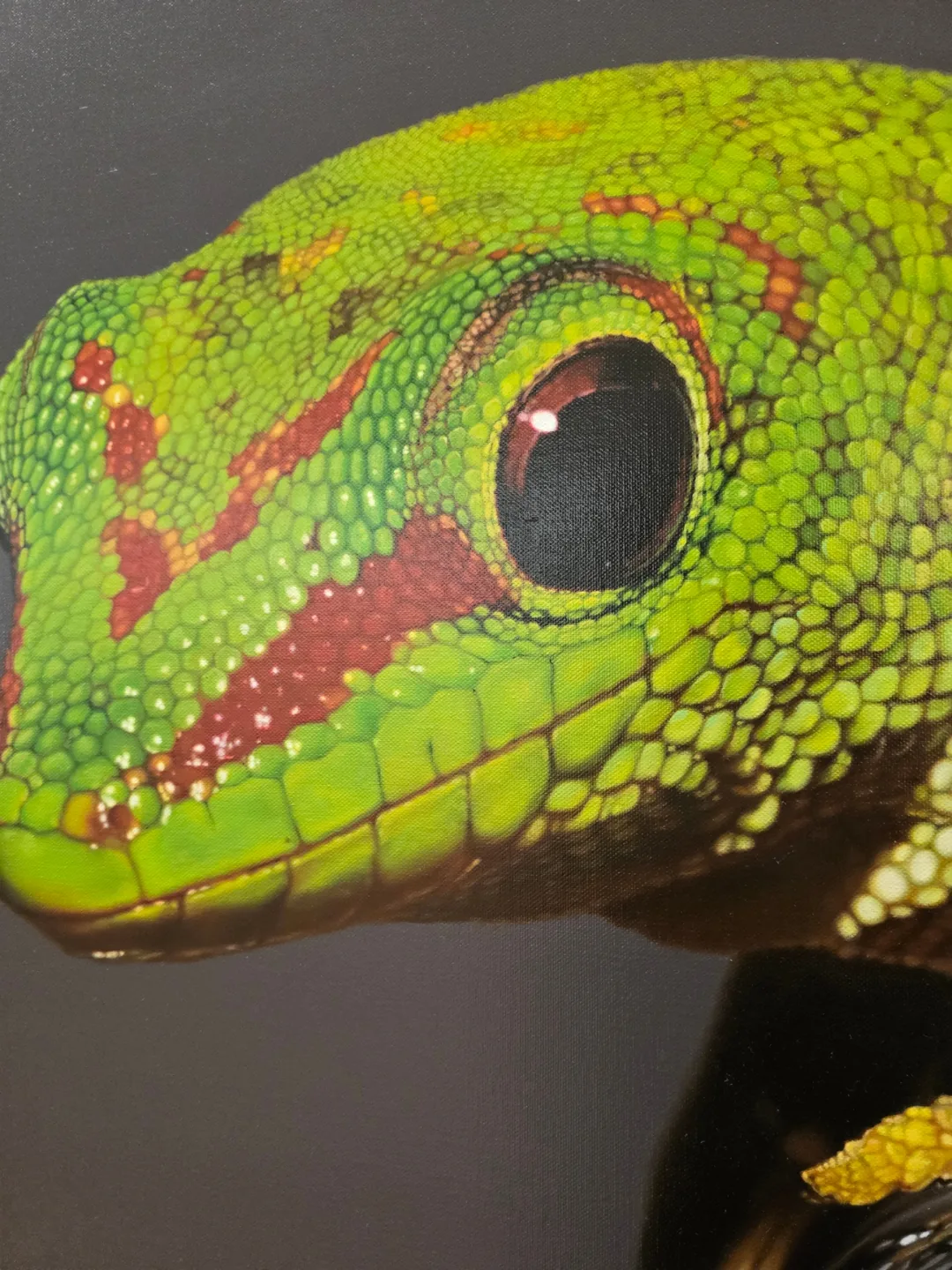 🐸🐸>>(Đời thường) Bảo tàng Nghệ thuật Mimesis