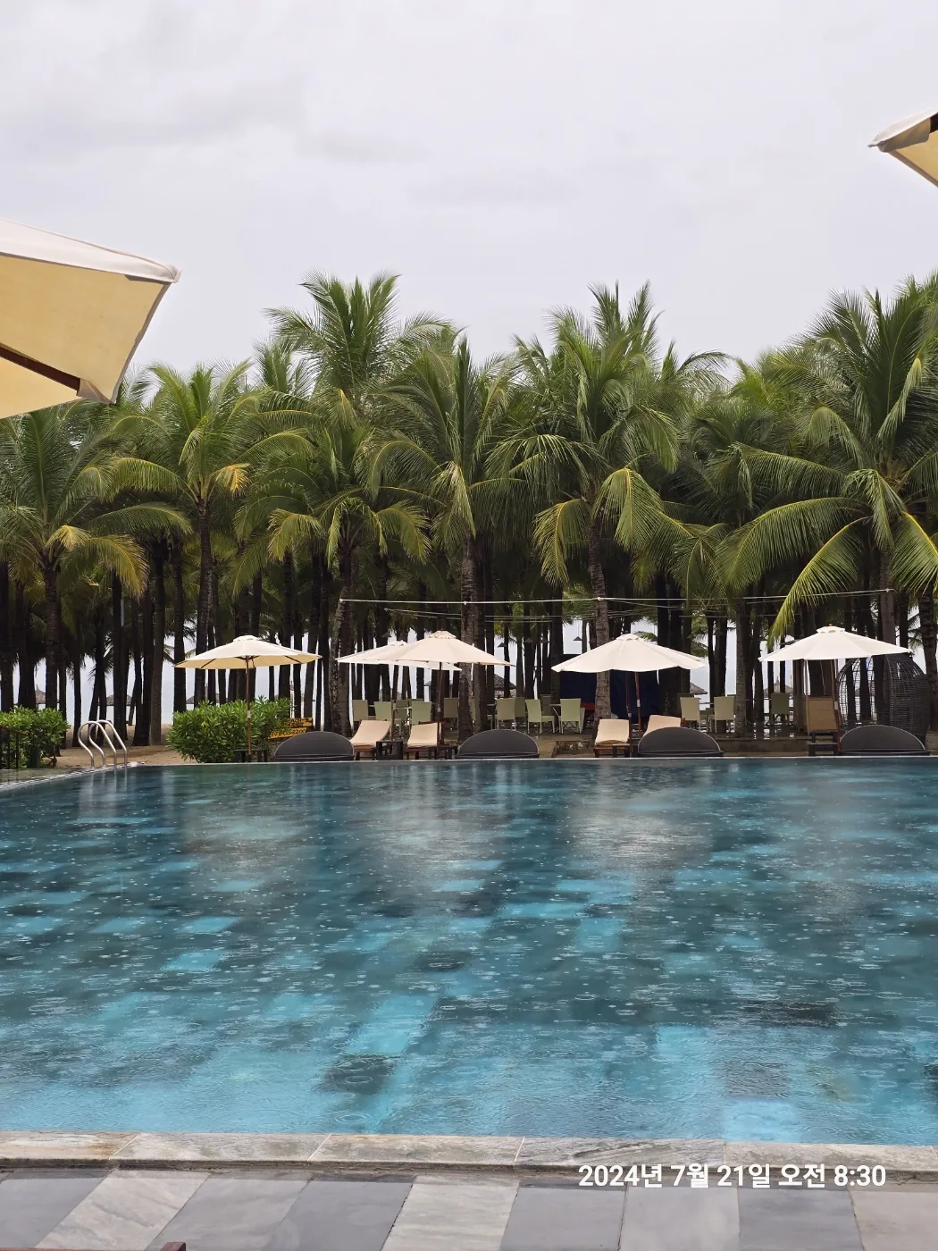 🐸🐸>> 🇻🇳 Đánh giá hồ bơi Grand Brio
