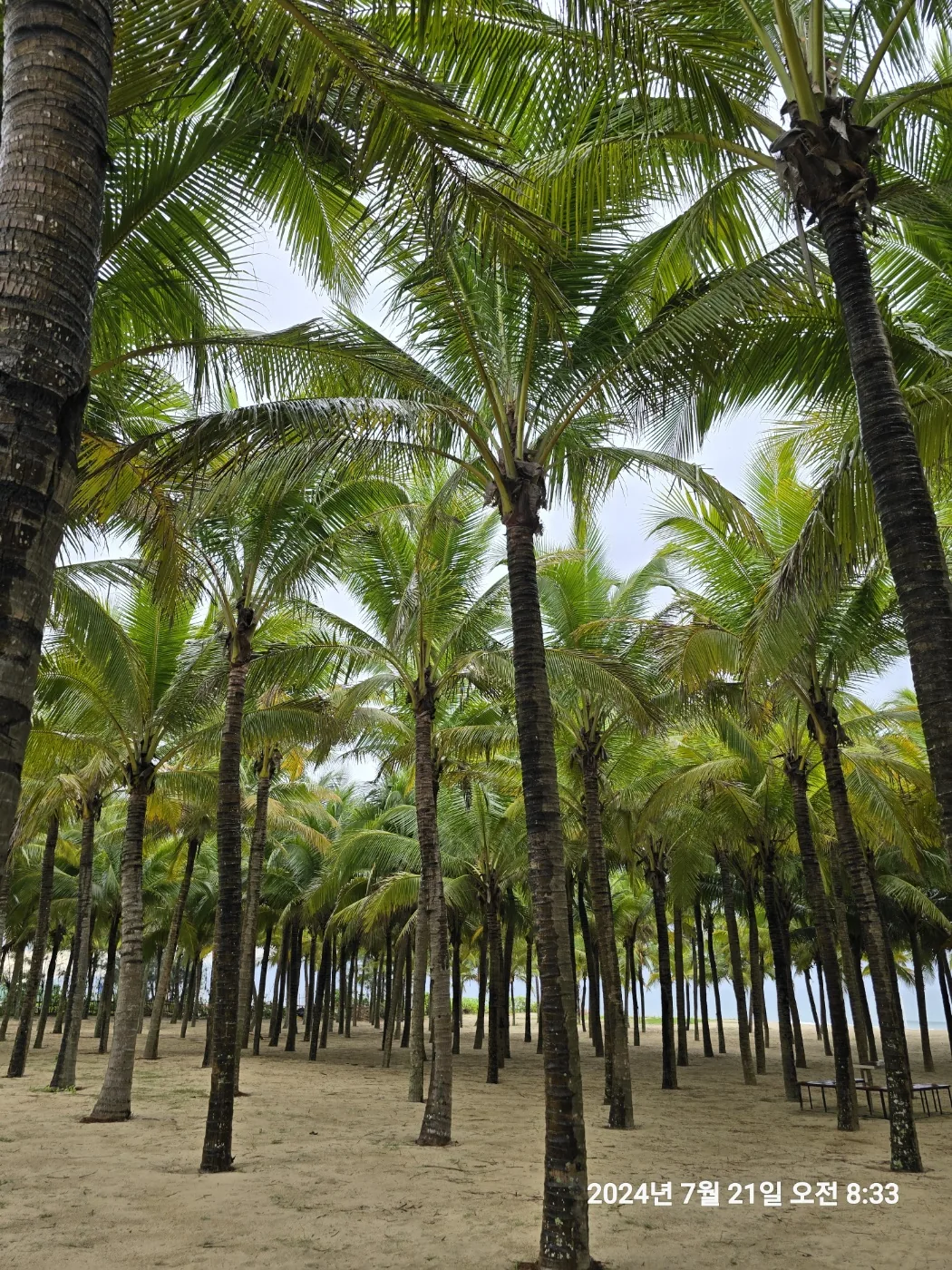 🐸🐸>> 🇻🇳Đánh giá Grand Brio Secret Beach