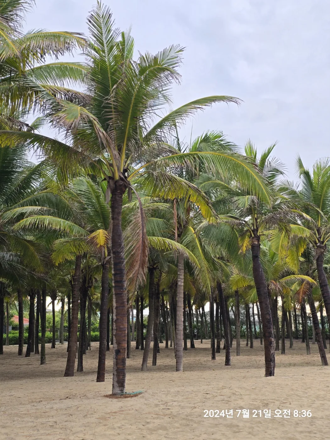 🐸🐸>> 🇻🇳Đánh giá Grand Brio Secret Beach