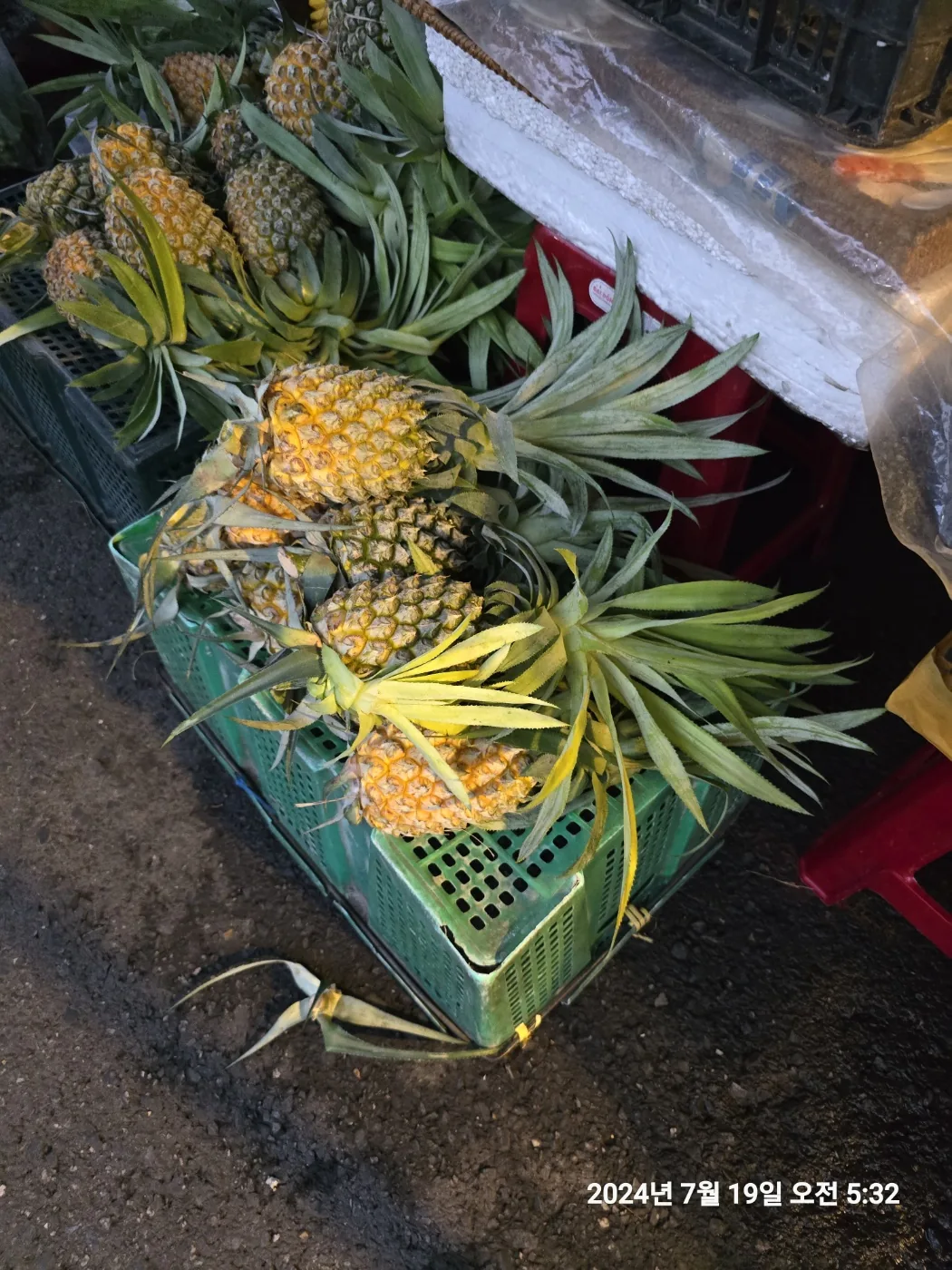 🐸🐸>> 🇻🇳Đánh giá trái cây chợ sớm Hội An.
