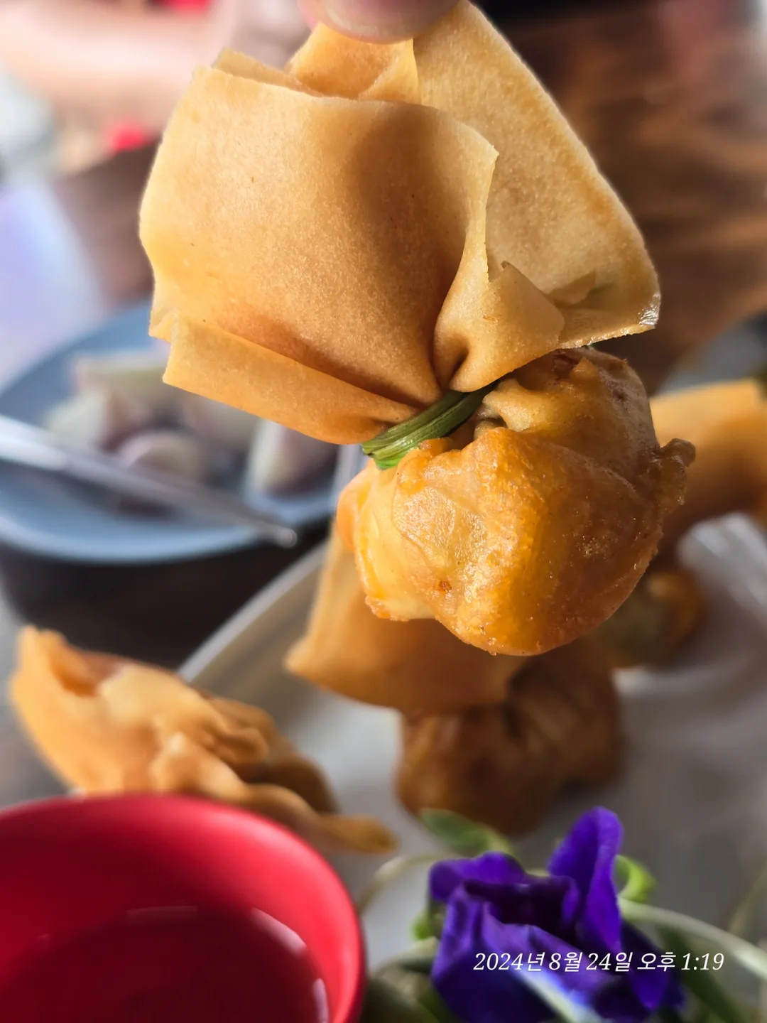 🐸🐸>> Phuket Mitonpo