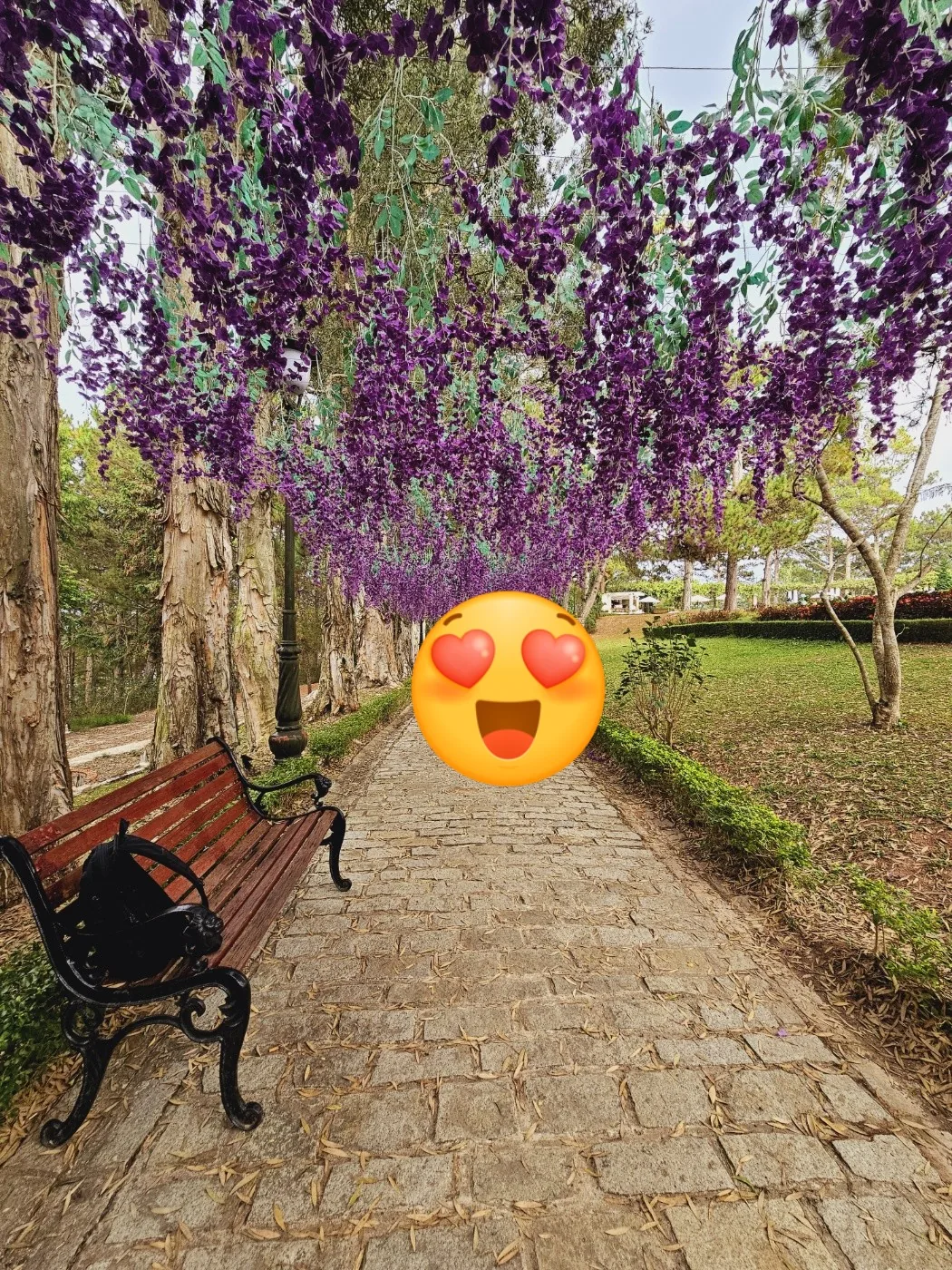 🐸🐸>> Biệt thự Bảo Đại Đà Lạt