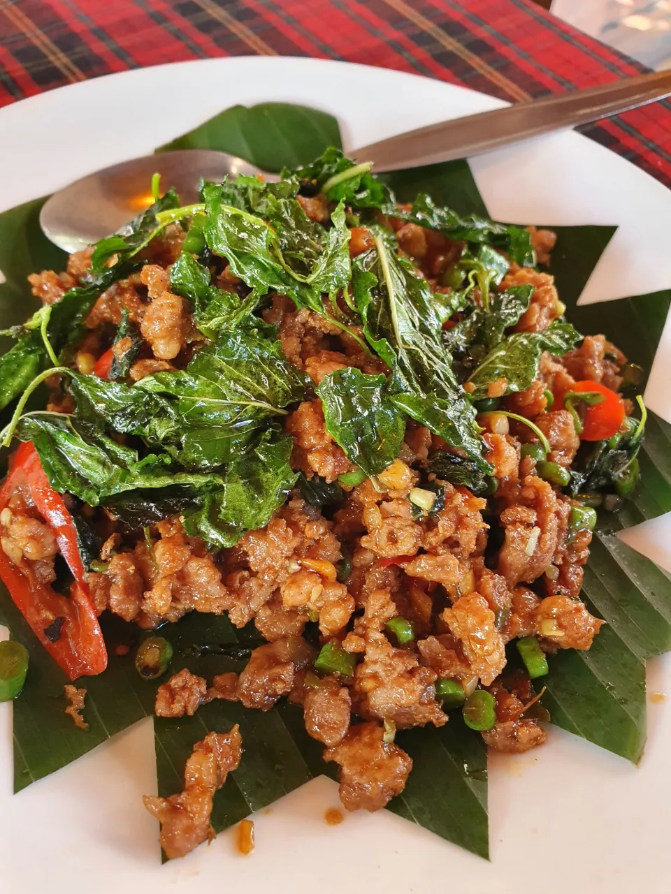 🐸🐸>> Krabi Kodam
