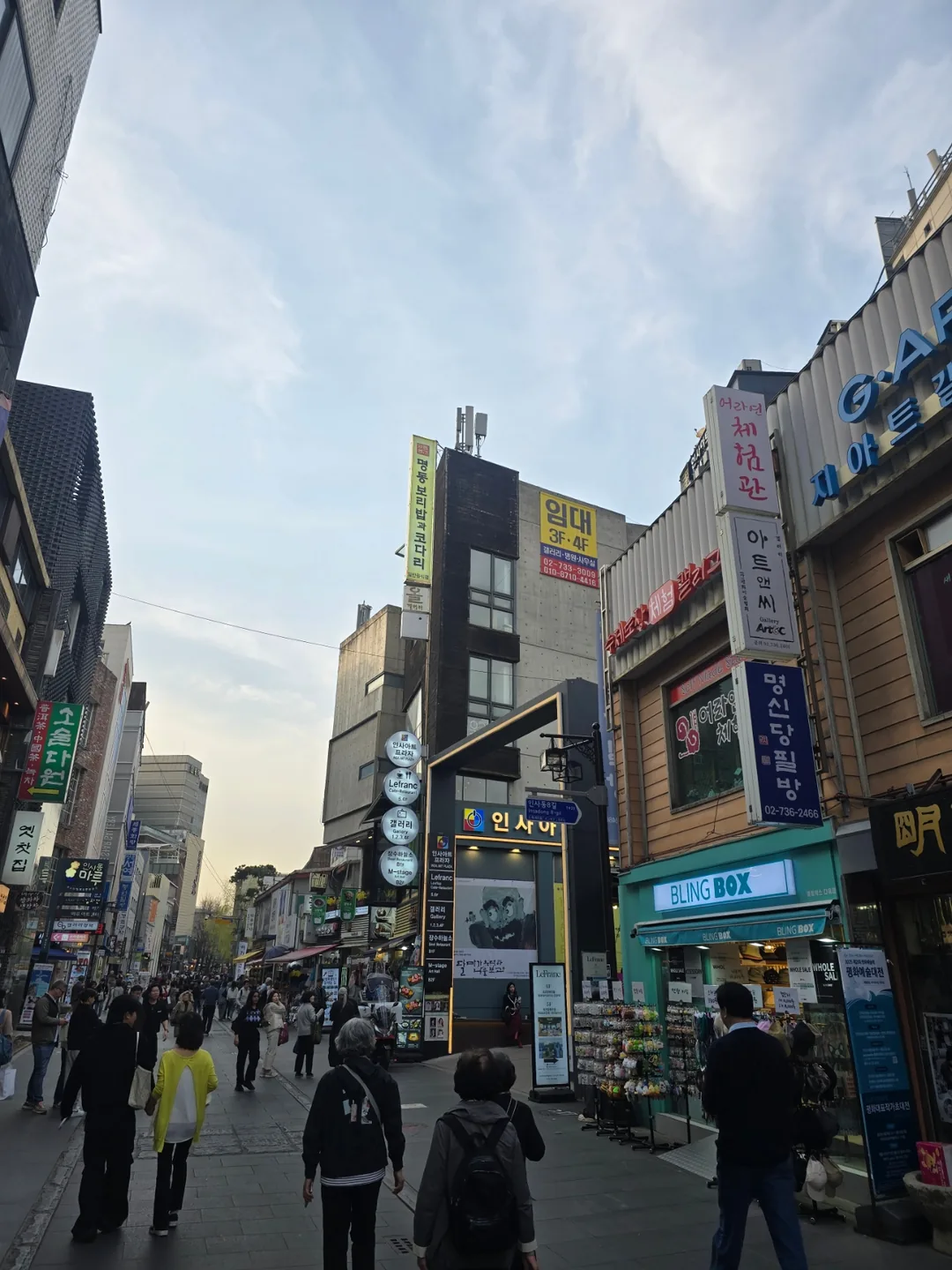 🐸🐸>> Insadong.