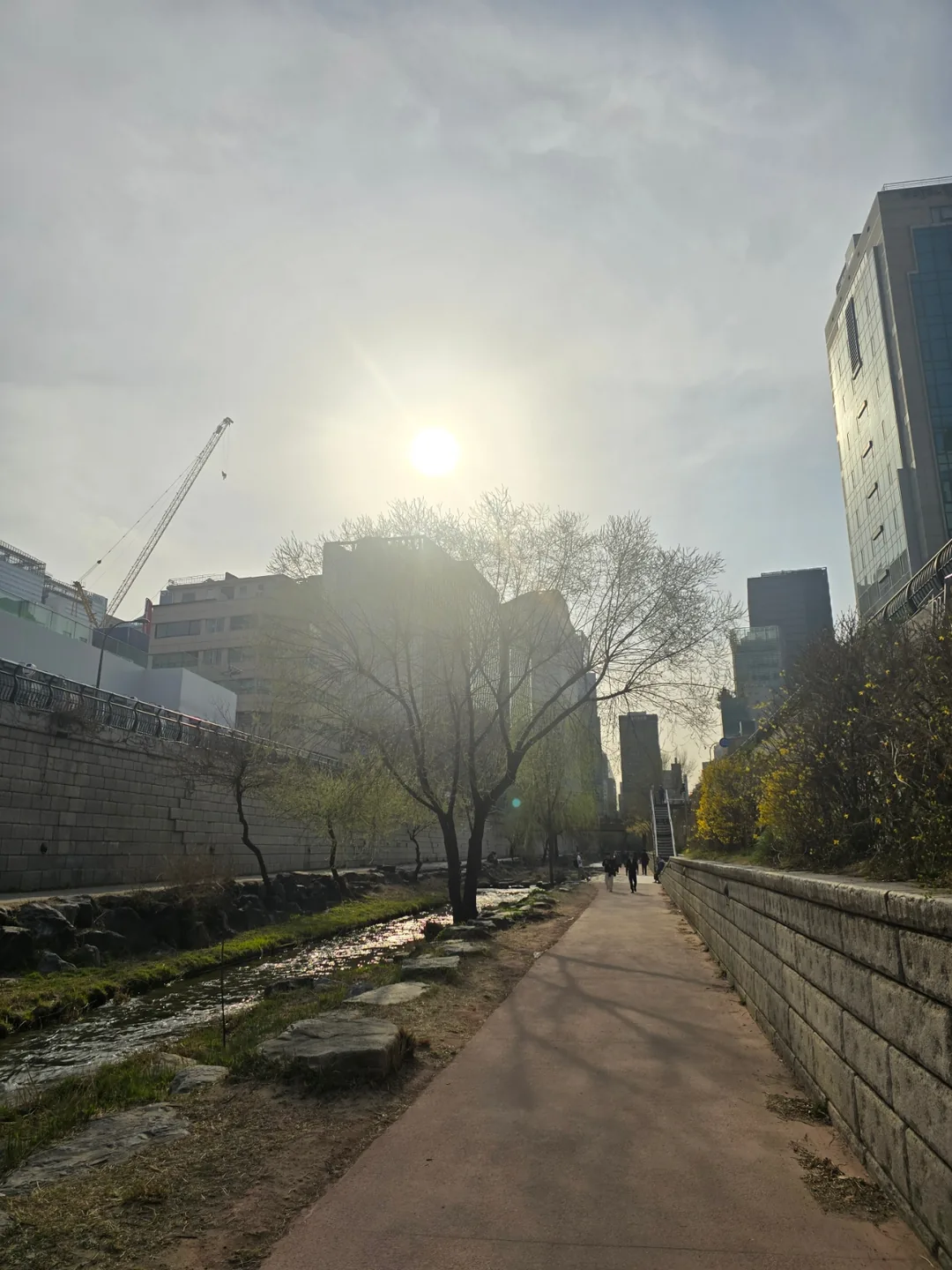 🐸🐸>> Suối Cheonggyecheon