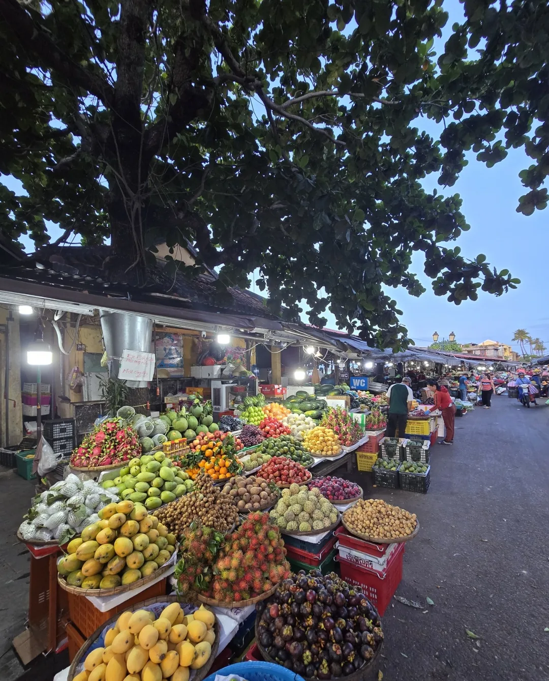 Chia sẻ thông tin🇻🇳 Tổng hợp trái cây theo mùa của Việt Nam theo từng tháng!