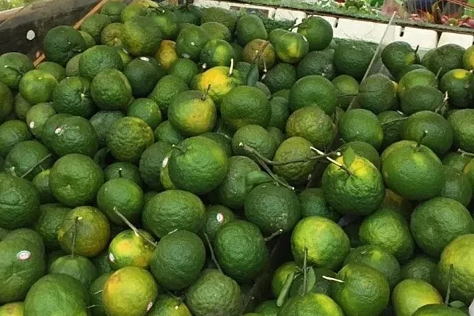 Chia sẻ thông tin🇻🇳 Tổng hợp trái cây theo mùa của Việt Nam theo từng tháng!