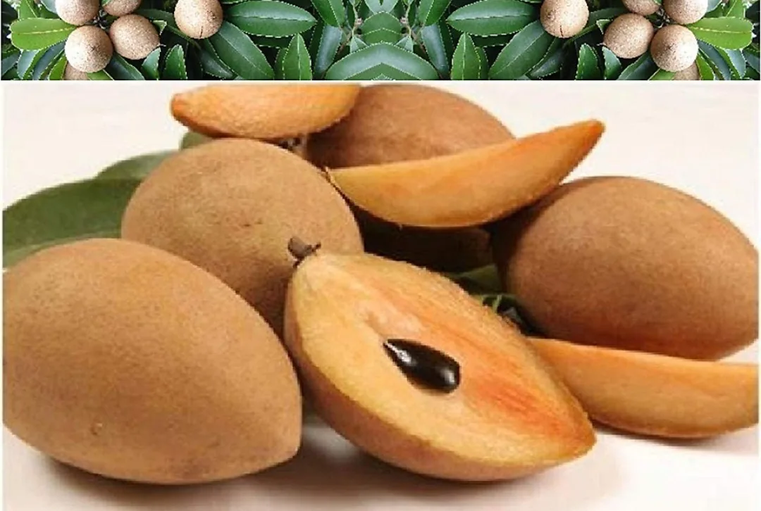 Chia sẻ thông tin🇻🇳 Tổng hợp trái cây theo mùa của Việt Nam theo từng tháng!