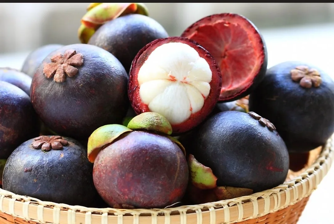 Chia sẻ thông tin🇻🇳 Tổng hợp trái cây theo mùa của Việt Nam theo từng tháng!
