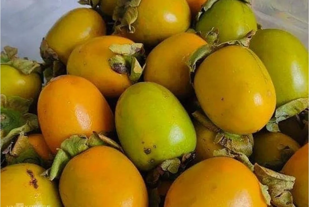 Chia sẻ thông tin🇻🇳 Tổng hợp trái cây theo mùa của Việt Nam theo từng tháng!