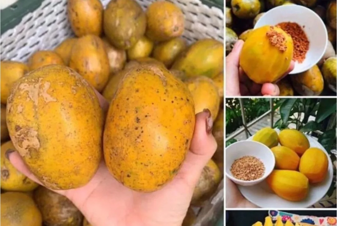 Chia sẻ thông tin🇻🇳 Tổng hợp trái cây theo mùa của Việt Nam theo từng tháng!