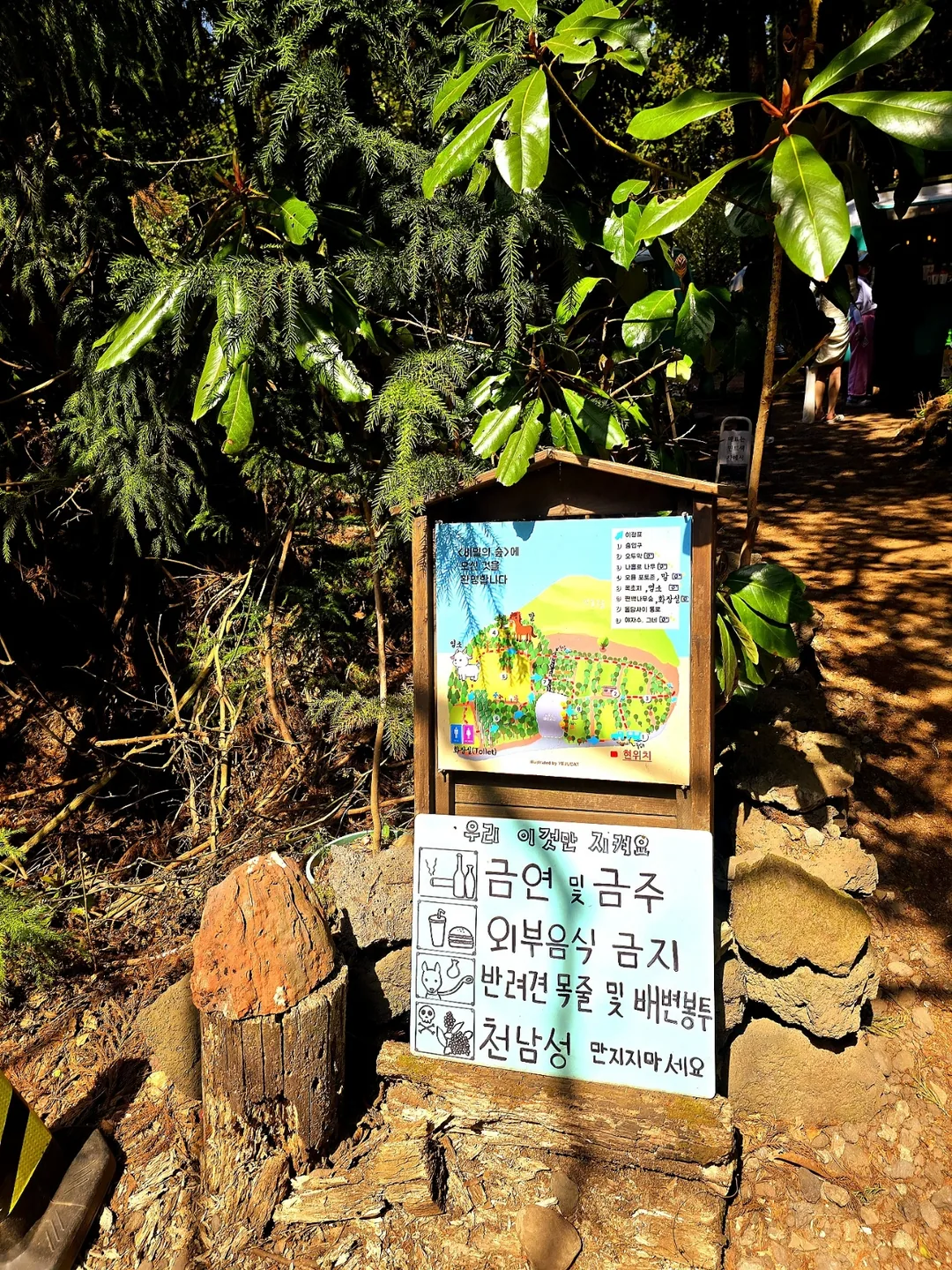 (Du lịch) Khu rừng bí mật