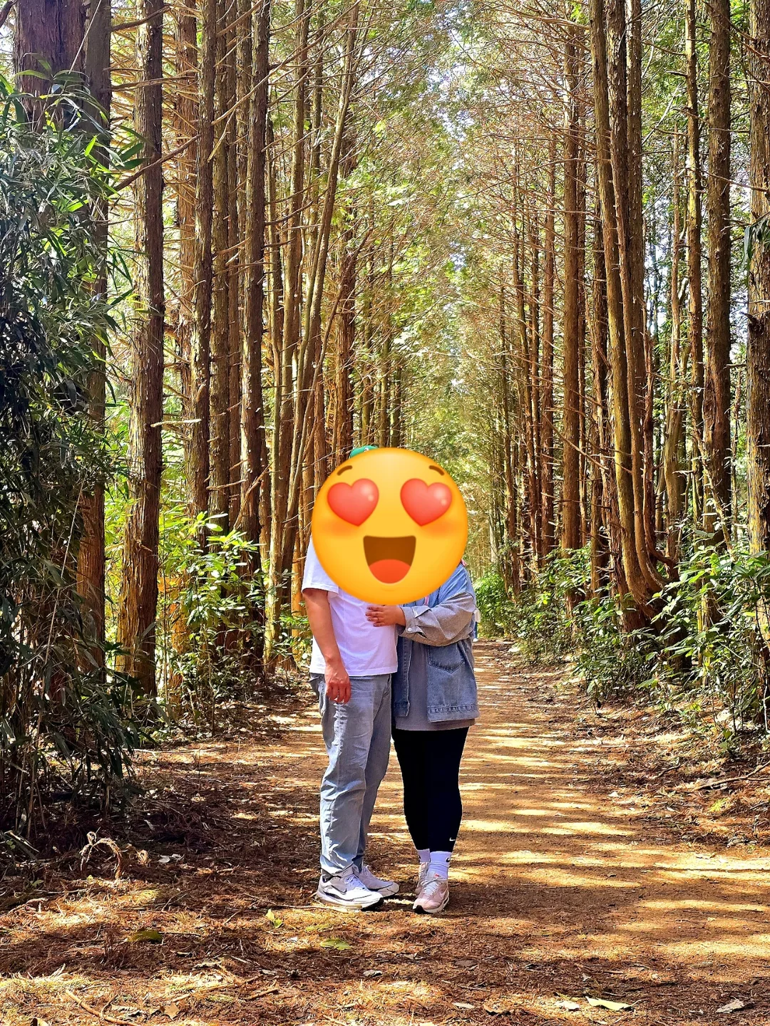 (Du lịch) Khu rừng bí mật