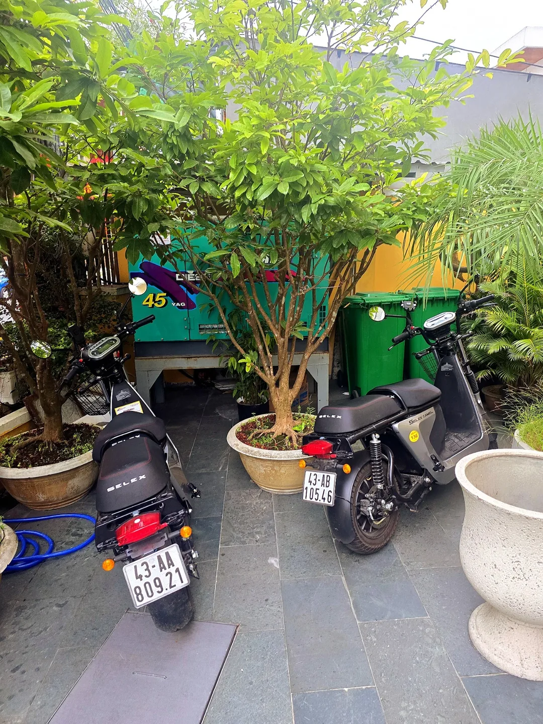 🇻🇳(Đánh giá) Lên đường đến Hội An