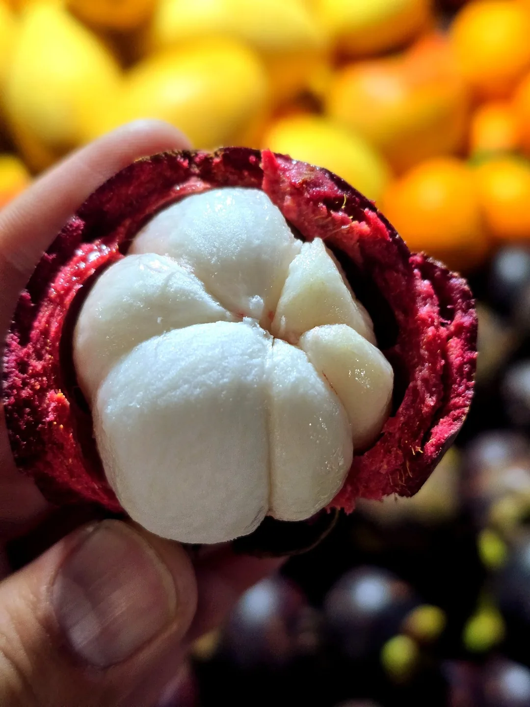🇻🇳(Đánh giá) Dạo quanh chợ đêm Hội An.