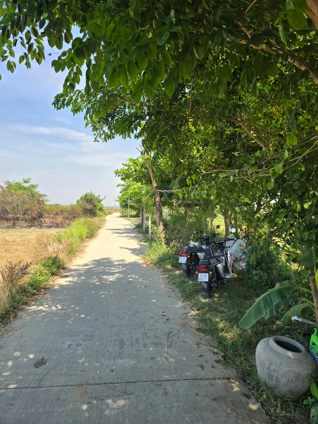 🇻🇳(Đánh giá) Trên đường đến Lò Gạch Cũ ở Hội An~