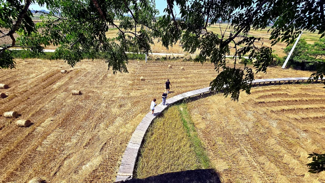 🇻🇳(Đánh giá) Quán cà phê Logatcu