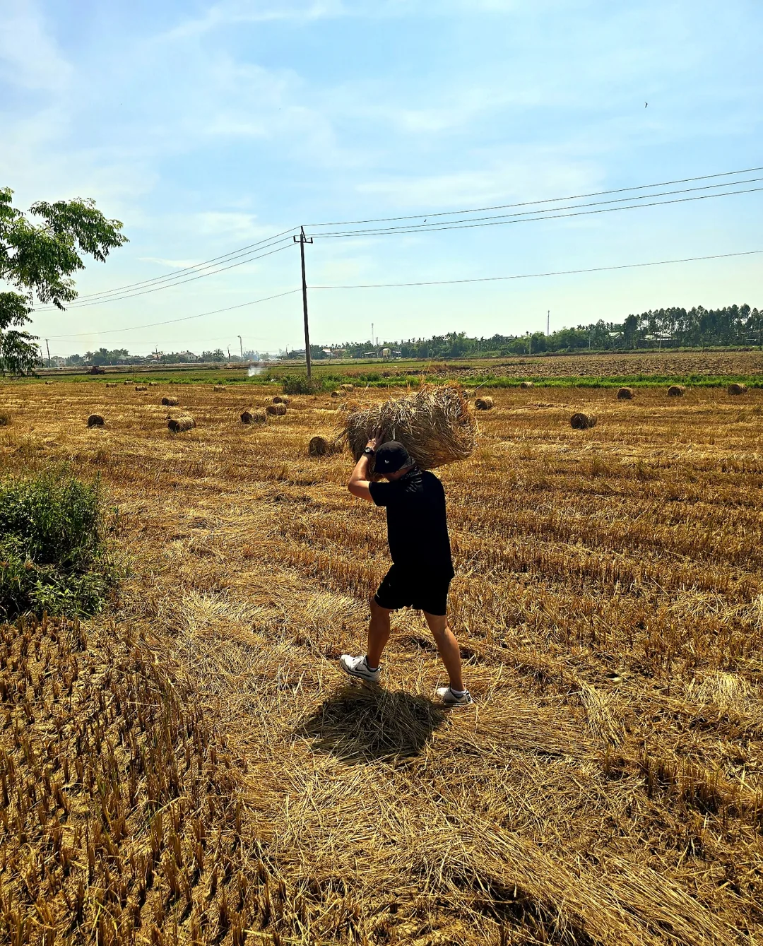 🇻🇳(Đánh giá) Quán cà phê Logatcu