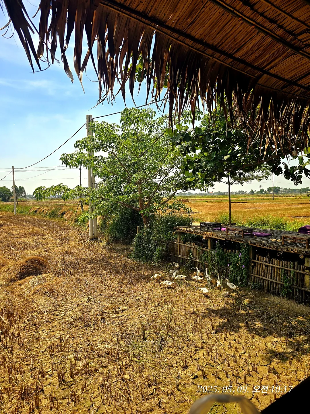 🇻🇳(Đánh giá) Quán cà phê Logatcu