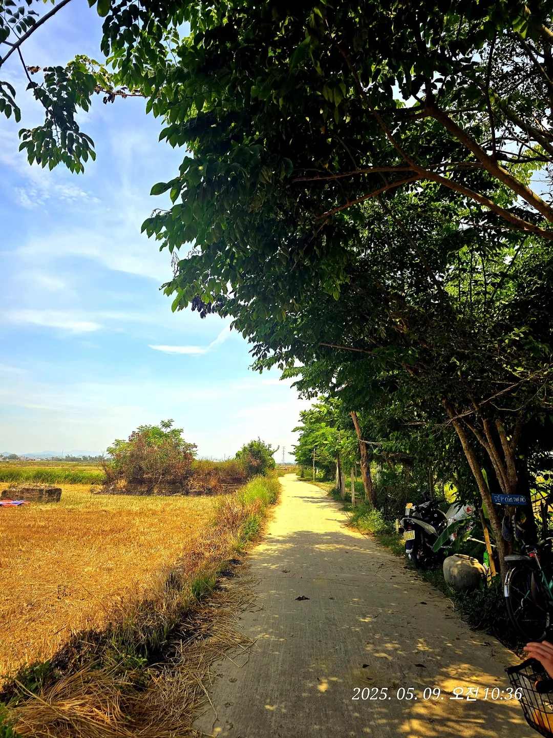 🇻🇳(Đánh giá) Quán cà phê Logatcu