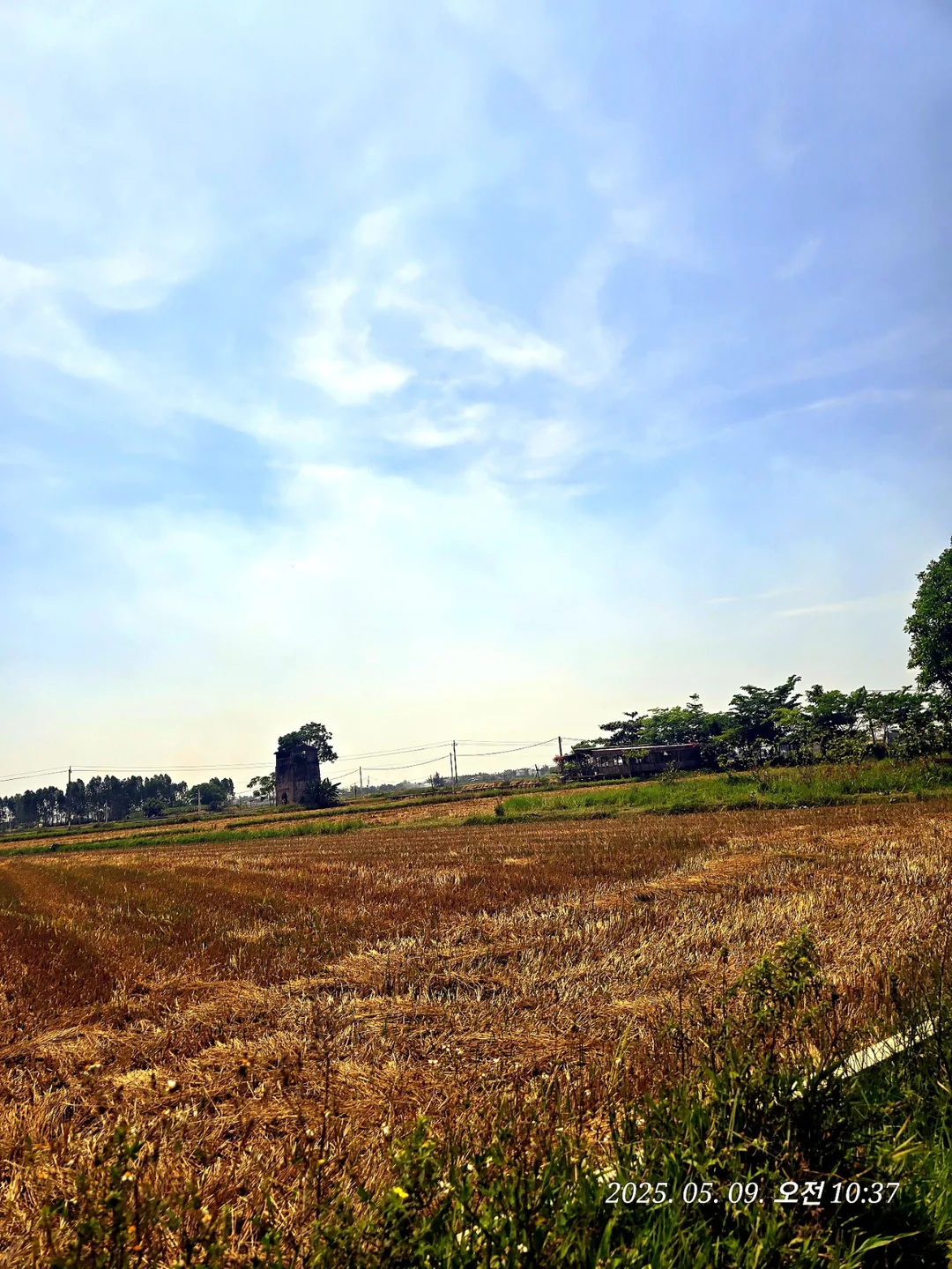 🇻🇳(Đánh giá) Quán cà phê Logatcu