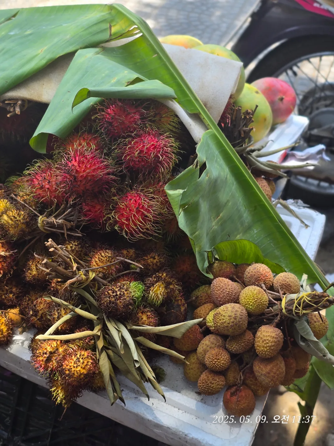 🇻🇳 (Đánh giá) Mua vải thiều ăn thôi!