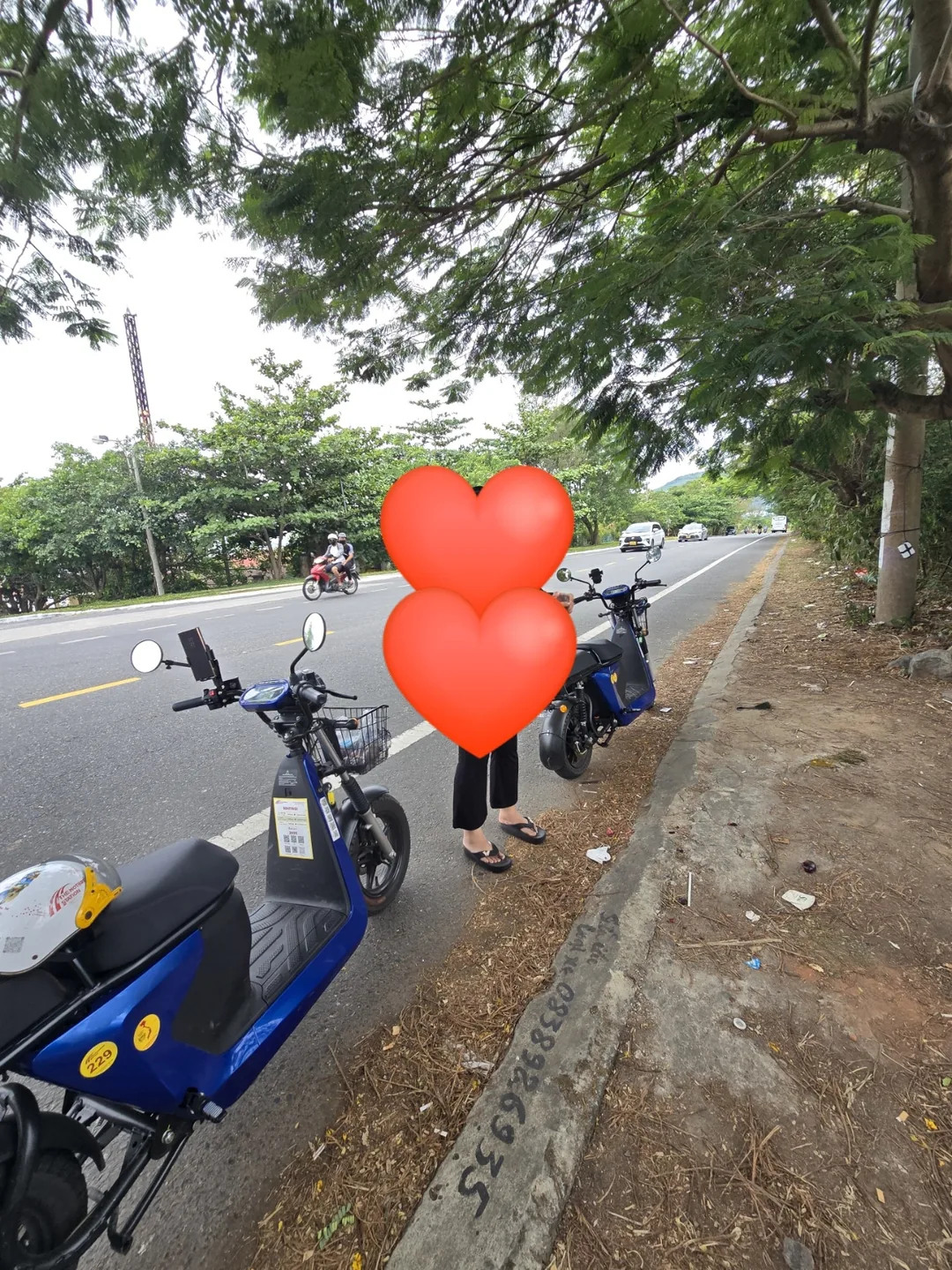 (Đánh giá) Lái xe quanh núi Sơn Trà ở thành phố Đà Nẵng.