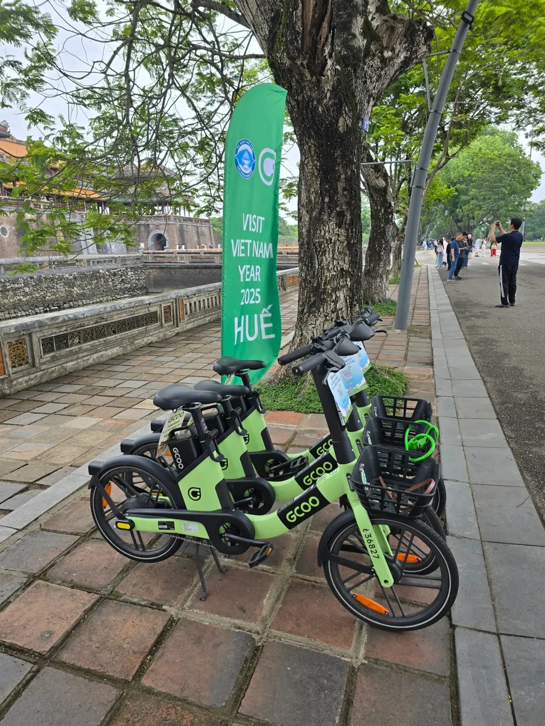 Đánh giá) Tour Huế 4 Tour Hoàng Cung