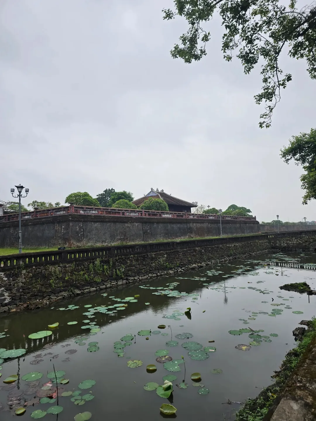 Đánh giá) Tour Huế 4 Tour Hoàng Cung