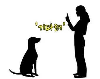 Giá gộp cả hai là bao nhiêu?