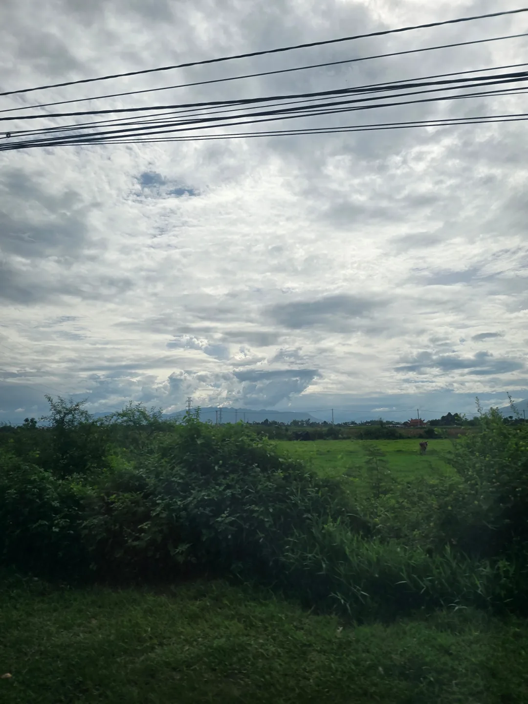 (🇻🇳 Phòng 6, 30/8 - 4/9) Nhật ký du lịch.. Thánh địa Mỹ Sơn (Được dịch là "Tôi sẽ đi gặp con trai tôi!!!!")