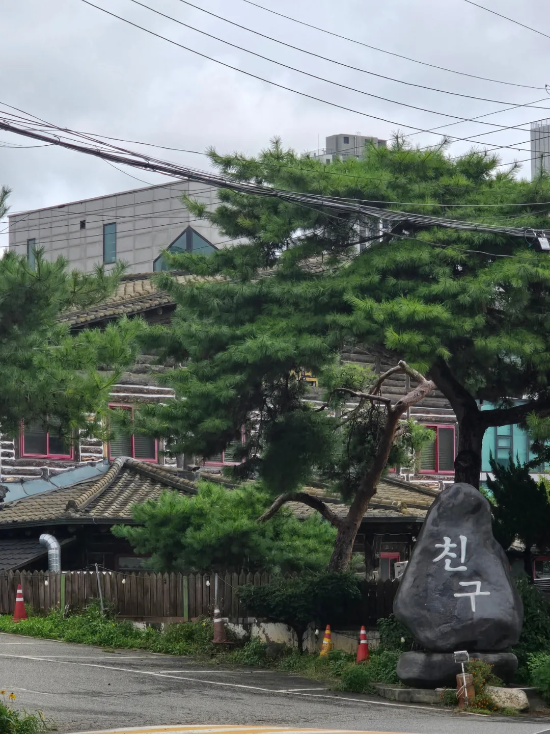 🐿 Bạn (du lịch)