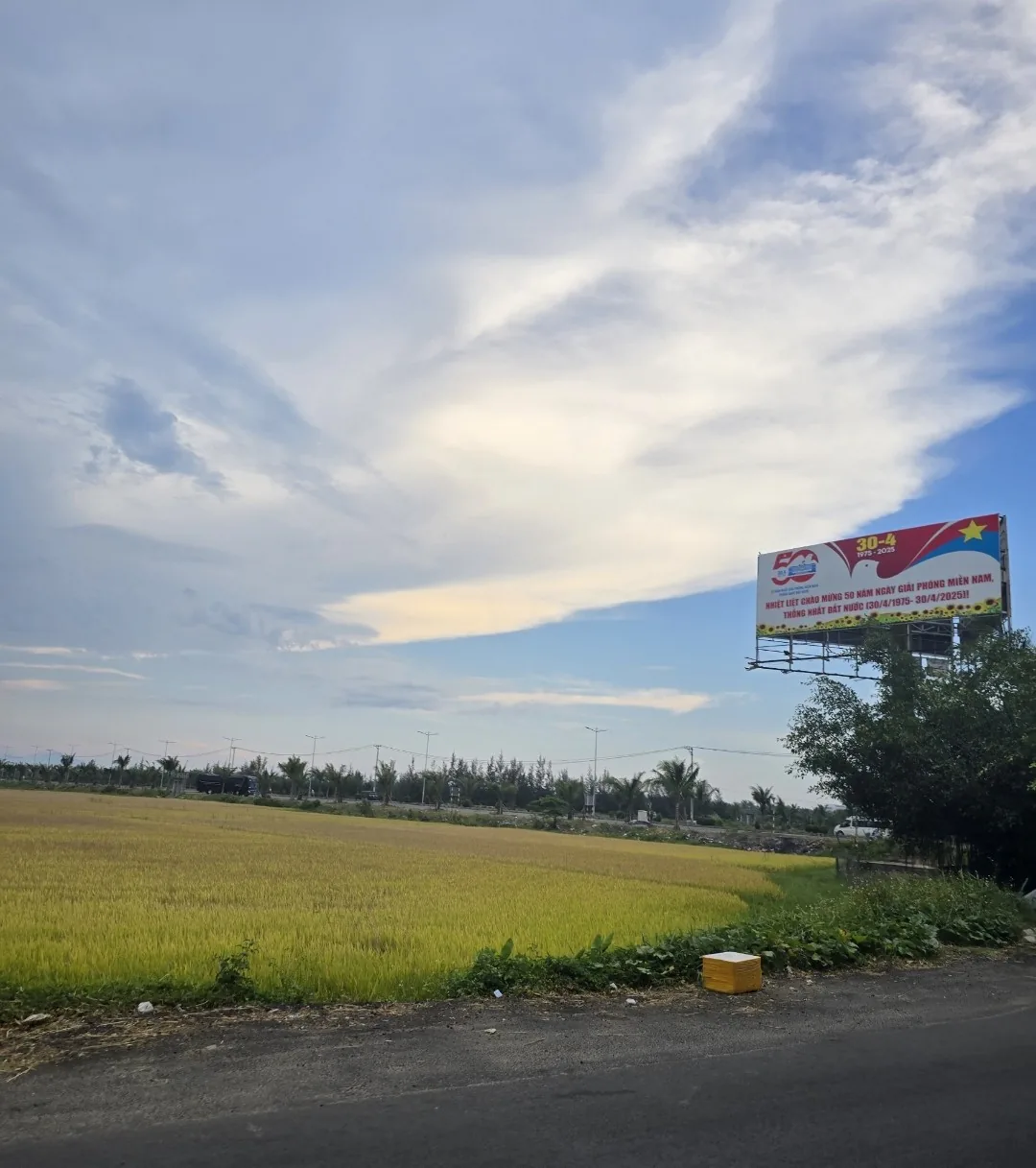 (🇻🇳6 người 30/8~4/9) Nhật ký du lịch. Còn Hội An thì sao?. Cơ động!!!