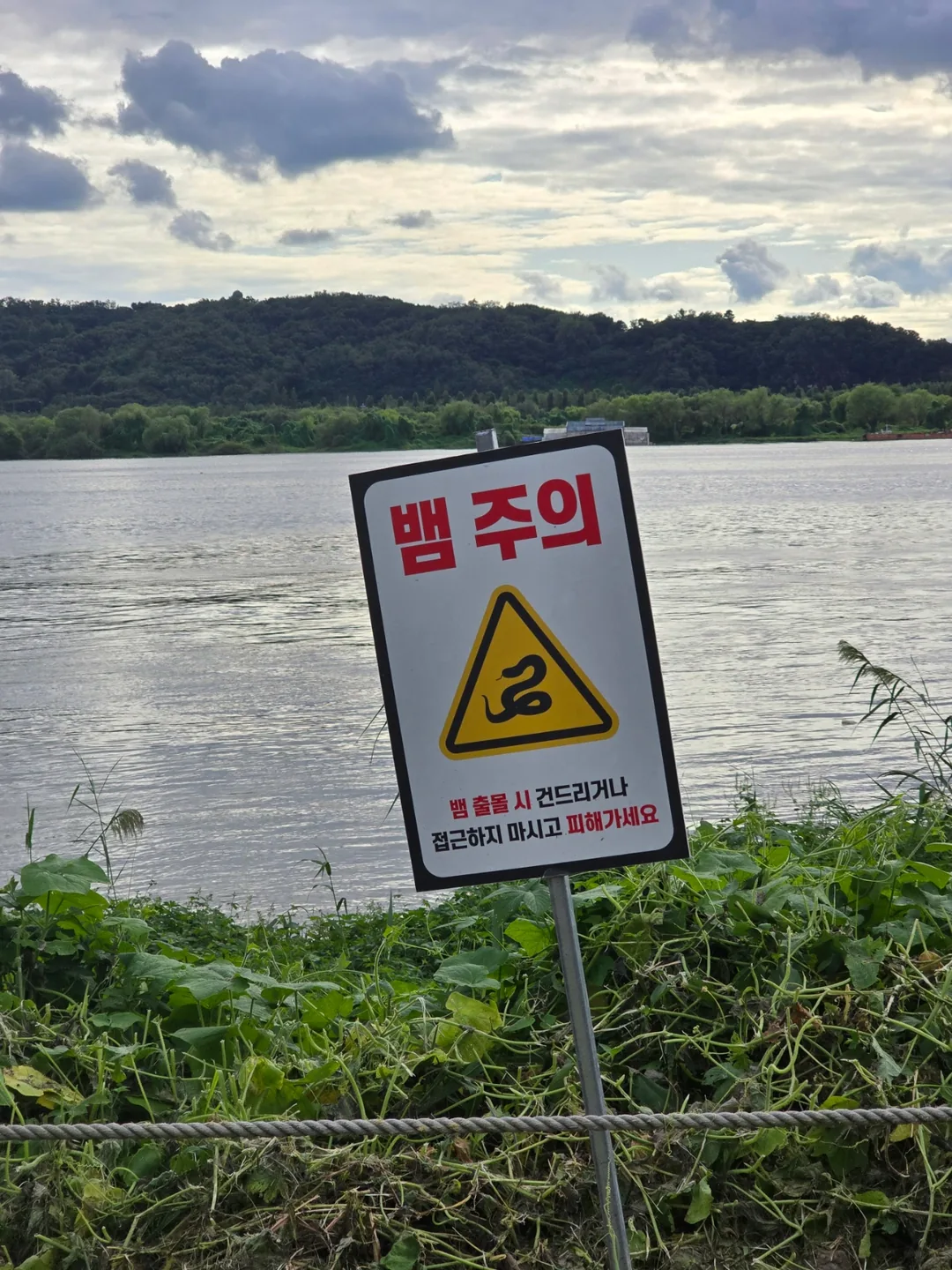 🐿 Bến đò Haengju, nơi bạn có thể cảm nhận sự thư thái ngay giữa lòng thành phố